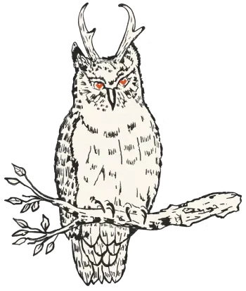 Horned Owl
